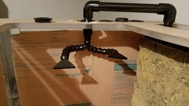 20170216_071238.jpg