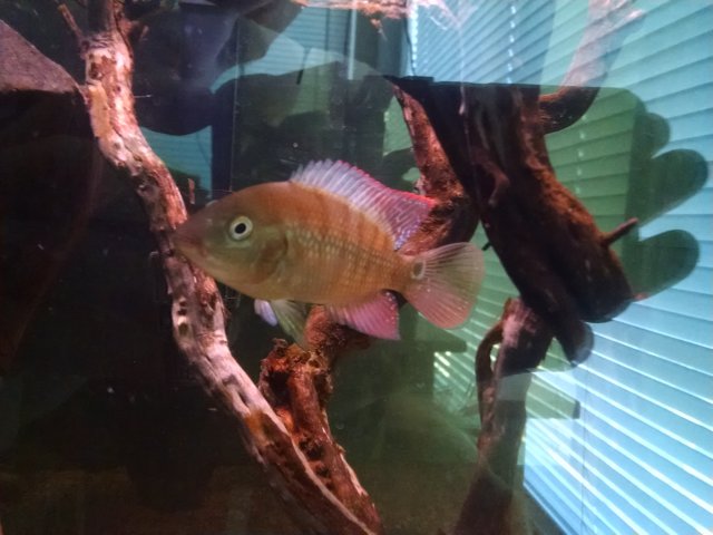 IMG_20170216_123711945.jpg IMG_20170216_123711945.jpg