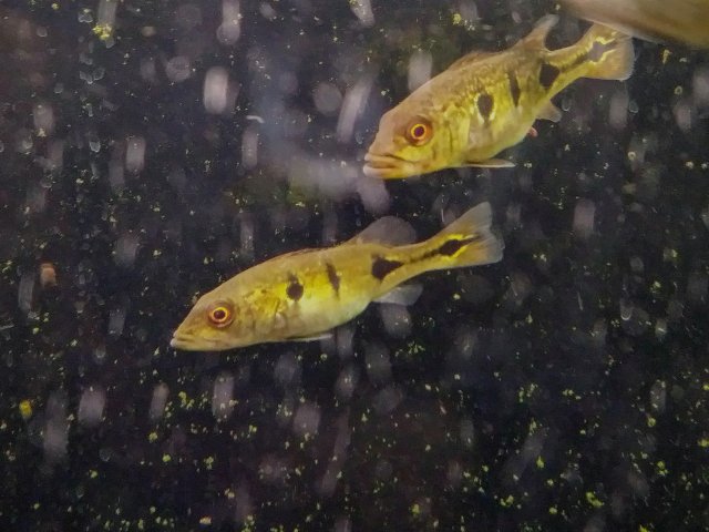 20170216_192732_HDR~2.jpg