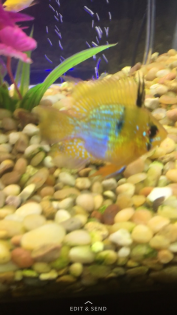 IMG_2615.PNG IMG_2615.PNG