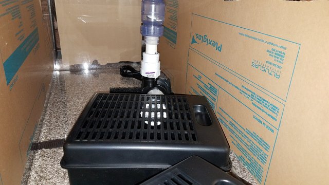 20170217_103136.jpg