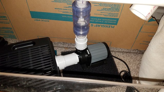 20170217_103131.jpg