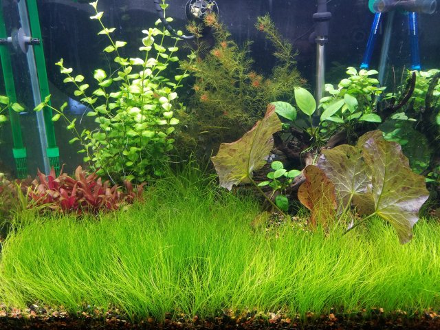 20161015_084127.jpg 20161015_084127.jpg