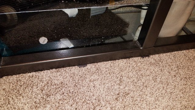 20170218_080715.jpg