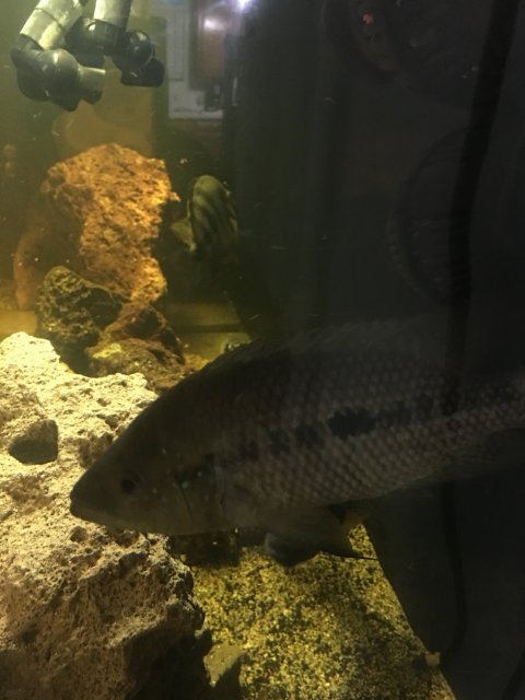 IMG_3337.JPG IMG_3337.JPG