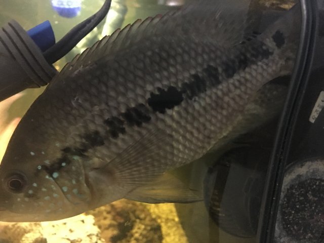 IMG_3328.JPG IMG_3328.JPG