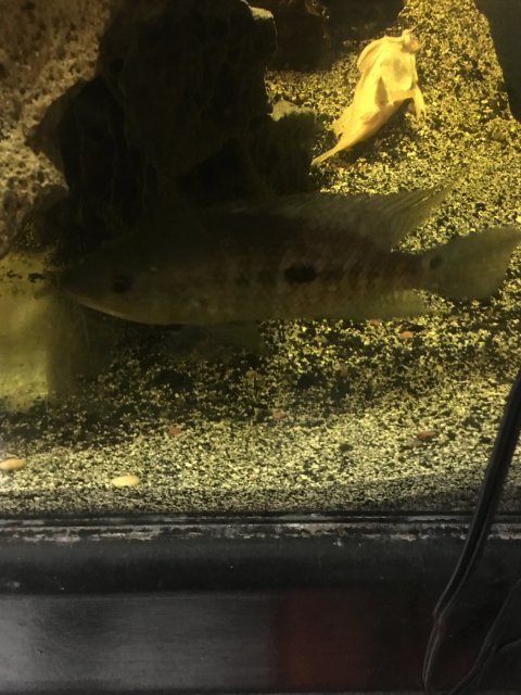 IMG_3323.JPG IMG_3323.JPG