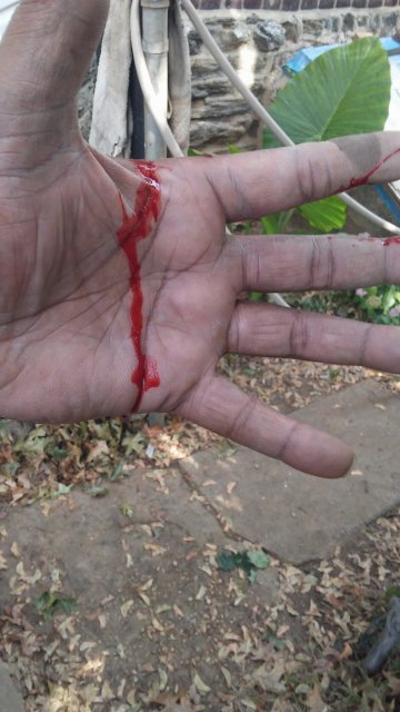 20161030_124709.jpg