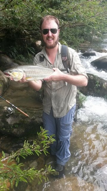 dorado4.jpg