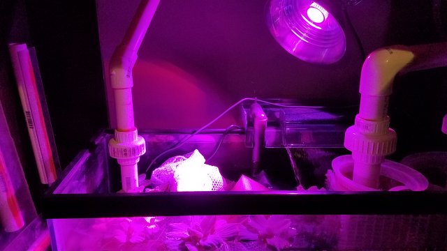 20170219_095557.jpg