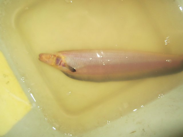 175.JPG