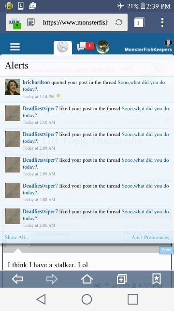 Screenshot_2017-02-19-14-39-09.png