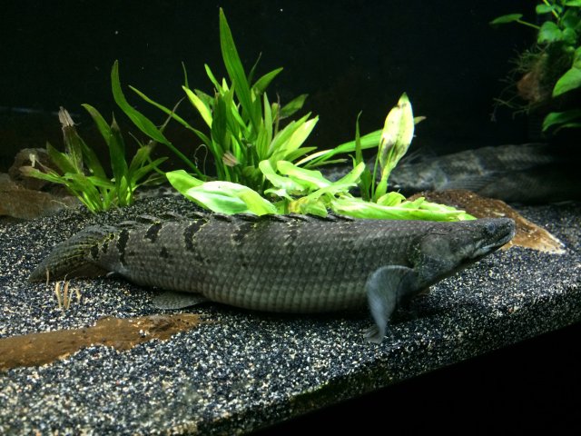 image.jpeg image.jpeg