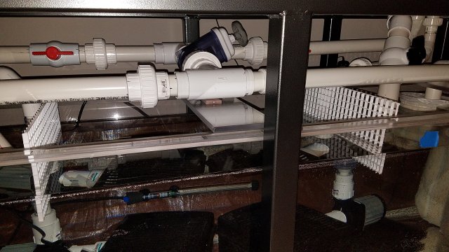 20170220_182713.jpg