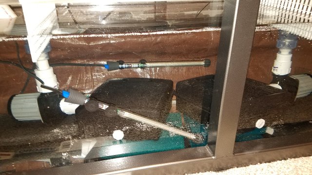 20170220_182725.jpg