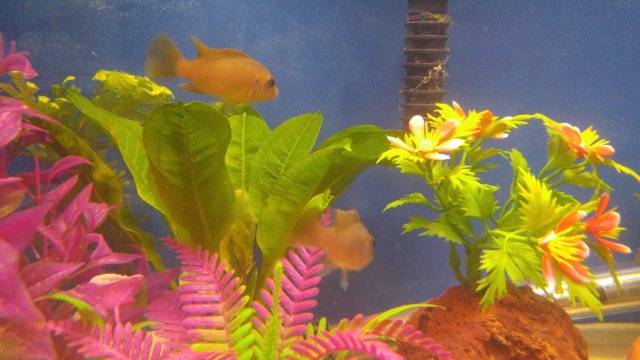 0220171847b.jpg 0220171847b.jpg