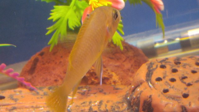 0220171846a.jpg 0220171846a.jpg