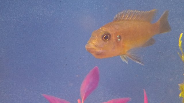 0220171849.jpg 0220171849.jpg