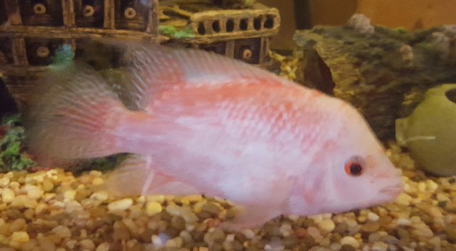 20170221_103954.jpg
