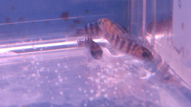 0221171156a.jpg 0221171156a.jpg