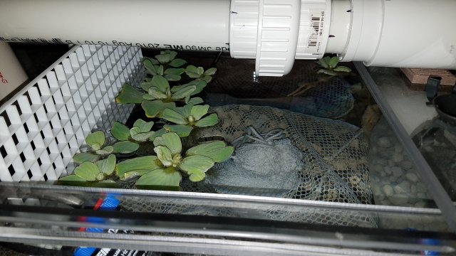 20170221_120551.jpg