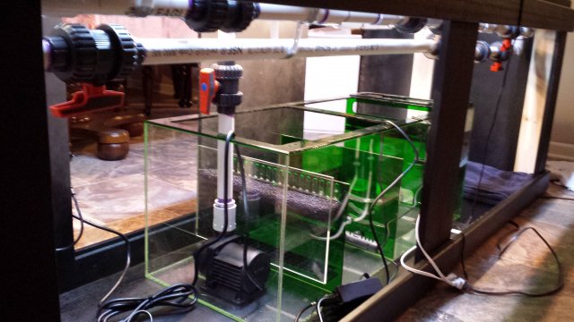 20160502_153012.jpg