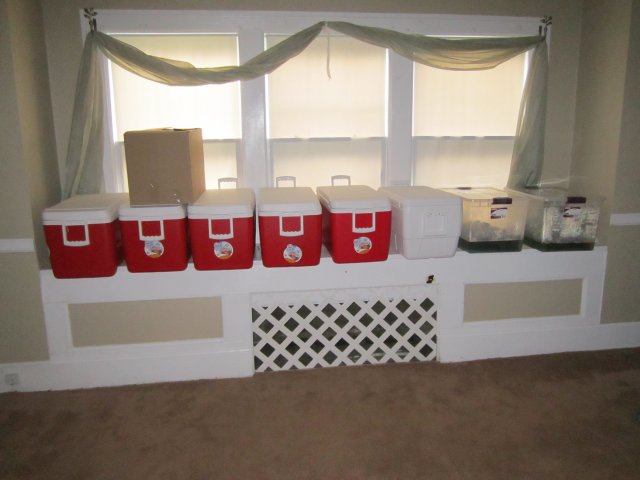 Coolers ready to go.jpg