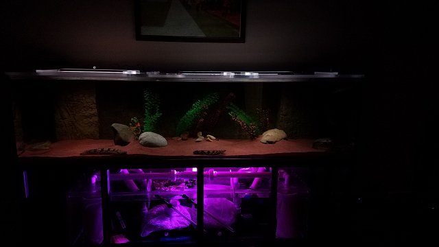 20170221_163416.jpg