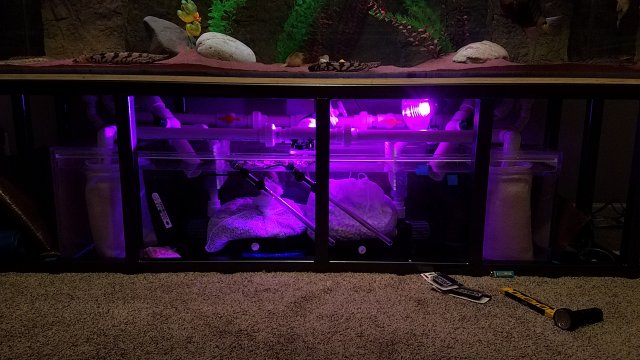 20170221_163343.jpg
