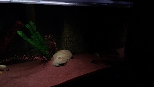 20170221_163401.jpg
