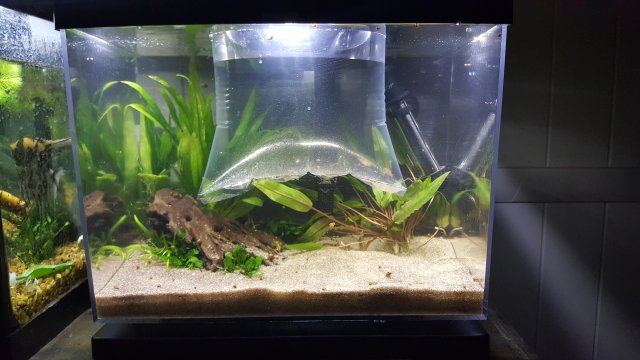 20170221_174226.jpg