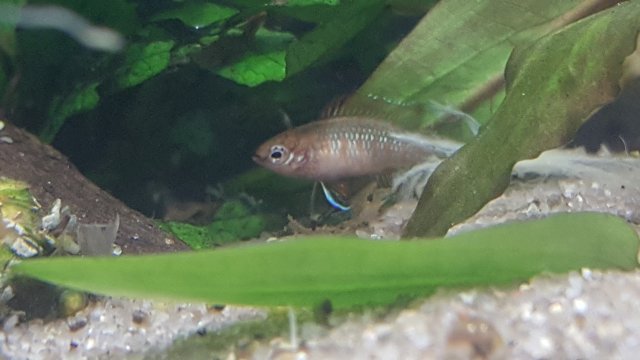 20170221_200307.jpg