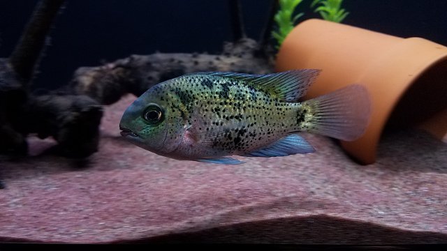 20170221_210518.jpg