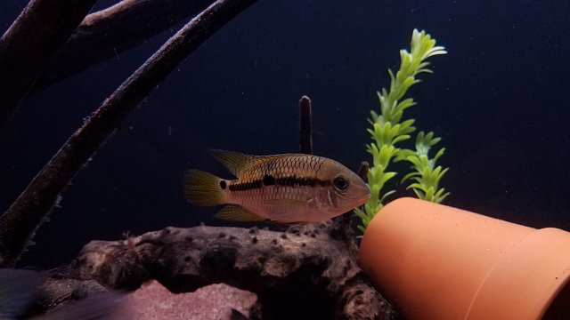 20170221_210349.jpg