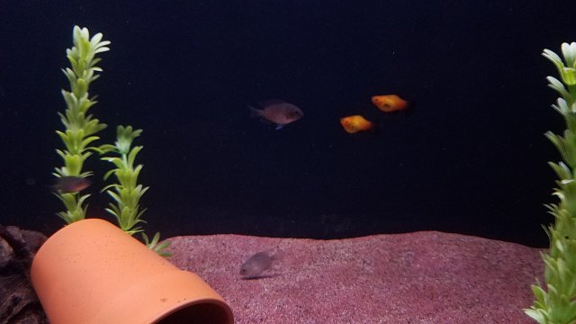 20170221_210257.jpg