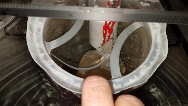 20170222_074930.jpg