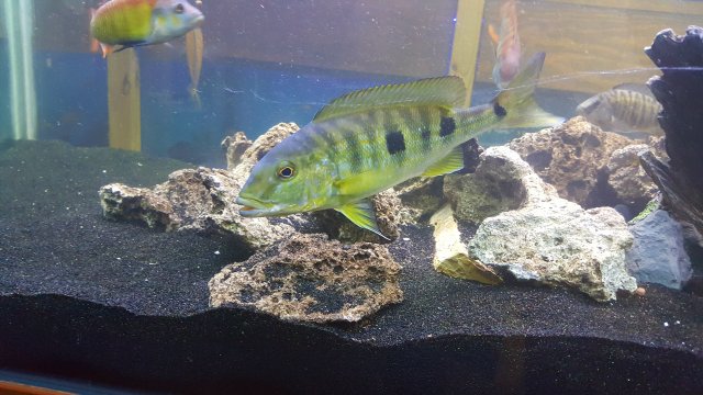 20170220_152909.jpg
