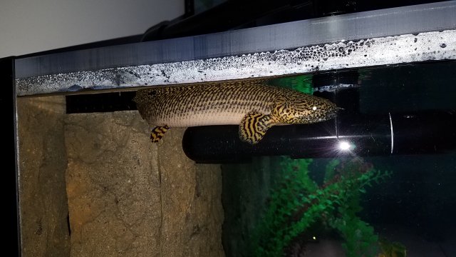 20170223_091823.jpg