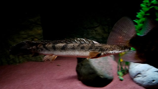 20170223_113232.jpg