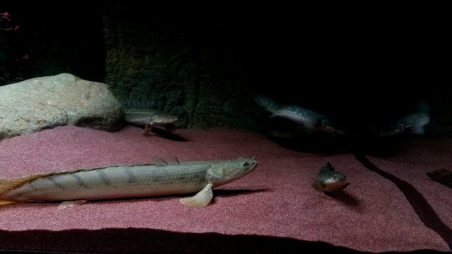 20170223_113106.jpg 20170223_113106.jpg