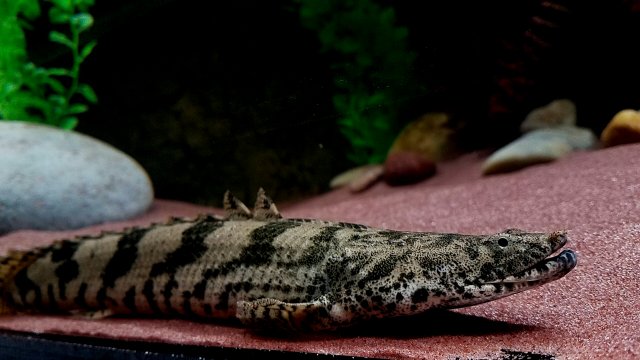 20170223_113047.jpg