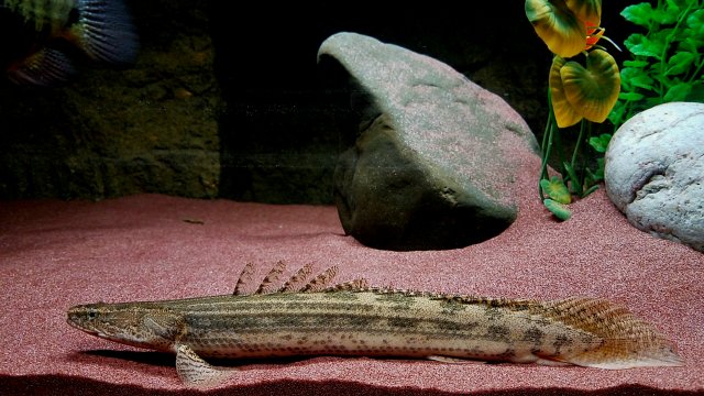 20170223_113014.jpg 20170223_113014.jpg