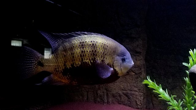 20170223_112510.jpg