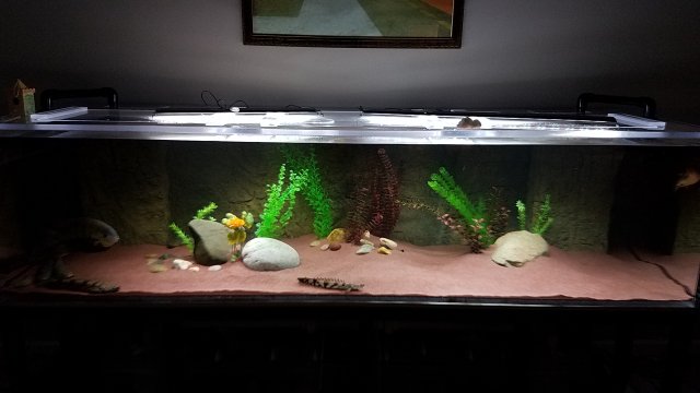 20170223_095846.jpg 20170223_095846.jpg