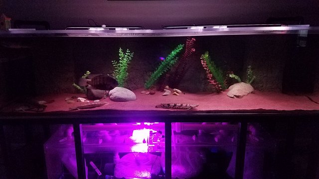 20170223_110938.jpg