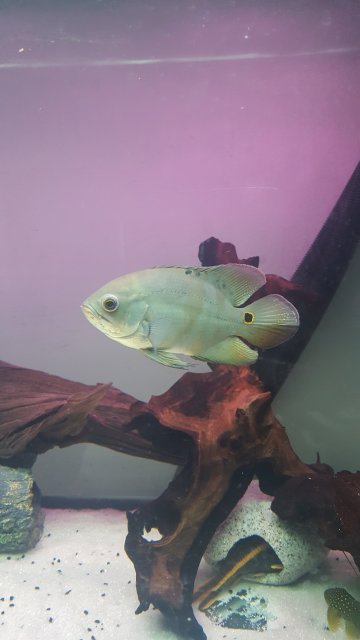 20170223_171748.jpg