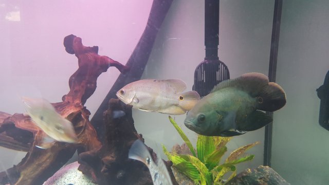 20170223_171551.jpg