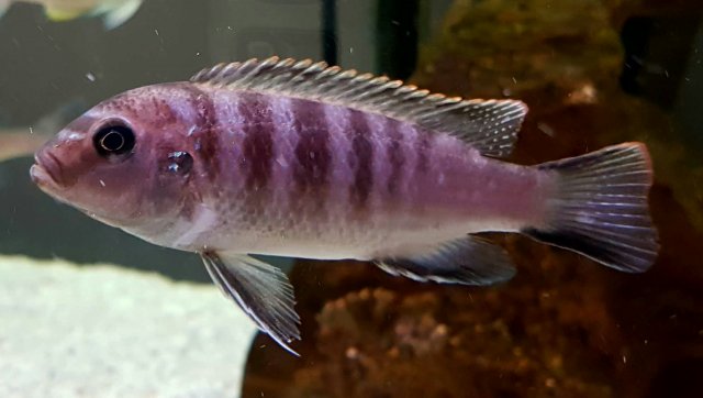 20161213_235937.jpg
