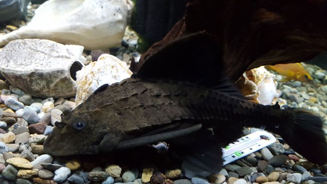 20170209_230556.jpg