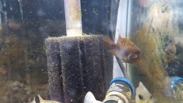 20170209_230342.jpg